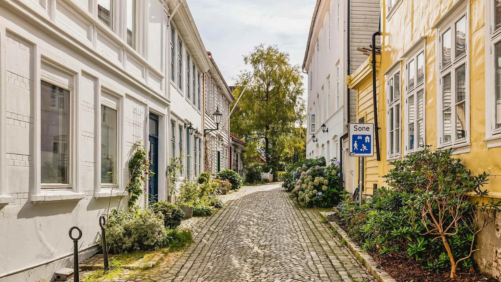 Dinbnb Apartment L Family Dream L 400M To Floien L Cozy Terrace Bergen Norsko